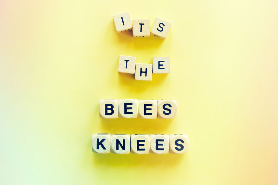 "It's the bees knees" spelled in white dice against bright yellow background.